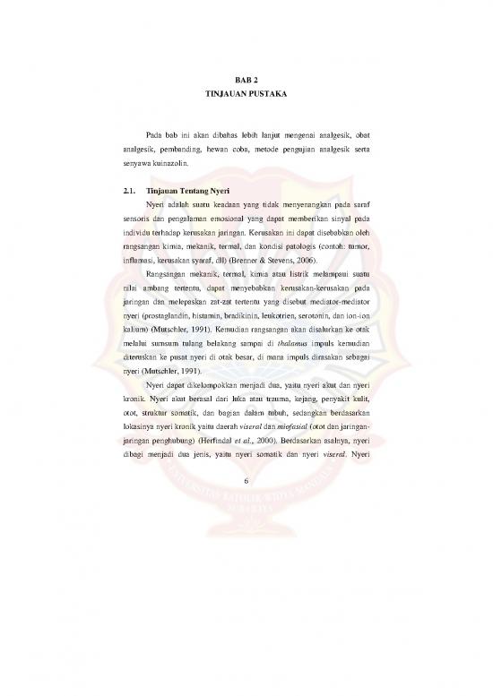 picture1_Analgesik 63404 | Bab 2 Item Download 2022-08-25 12-18-03