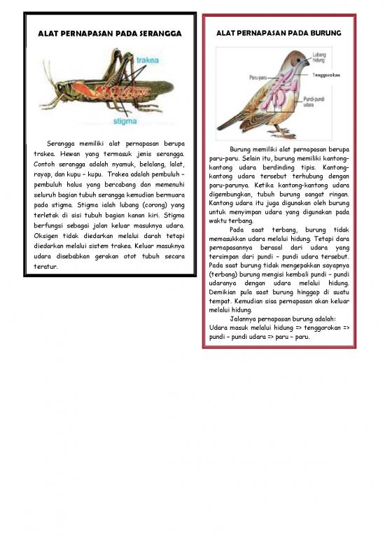 picture_Bagian Dari Pernapasan Serangga 62072 | Kartu Materi