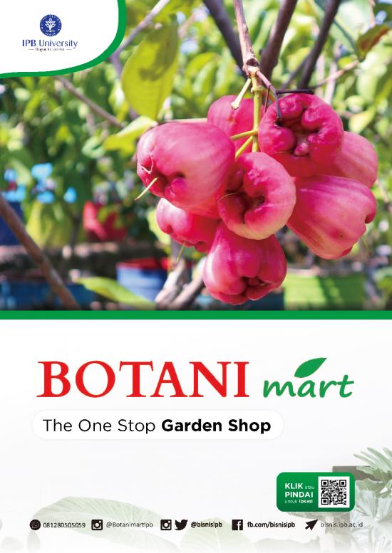 picture1_Tanaman Hias Pdf 63604 | Katalog Botani Mart picture1_Tanaman Hias Pdf 63604 | Katalog Botani Mart
