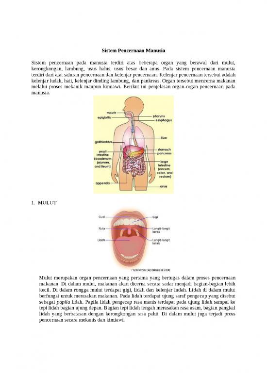 picture1_Pertemuan 4   Sistem Pencernaan