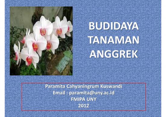 picture_Budidaya Anggrek Bulan Pdf 63600 | Ppm Anggrek Klaten Mita New