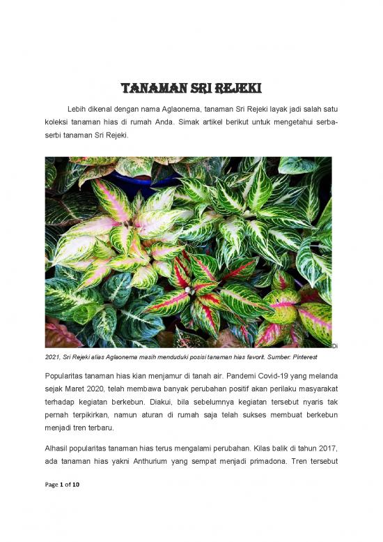 picture1_Tanaman Hias Pdf 62368 | Tanaman Sri Rejeki picture1_Tanaman Hias Pdf 62368 | Tanaman Sri Rejeki