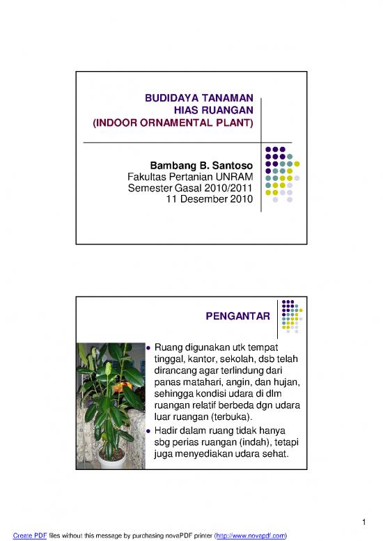 picture1_Budidaya Tanaman Hias Pdf 62382 | Tanm Hias Tanaman Indoor picture1_Budidaya Tanaman Hias Pdf 62382 | Tanm Hias Tanaman Indoor