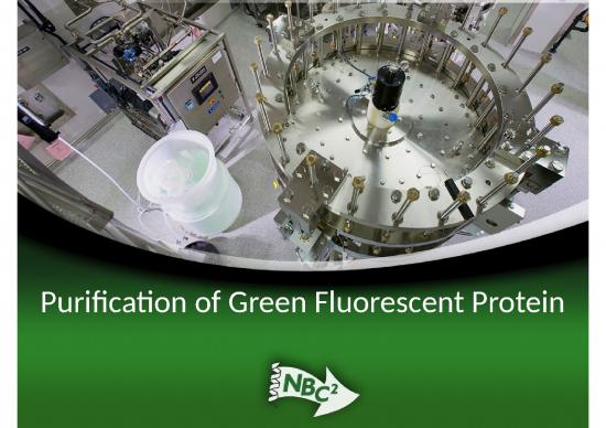 picture1_Protein Purification Slideshare 66701 | 602572425946793478 9 Gfp Purification Column Chromatography