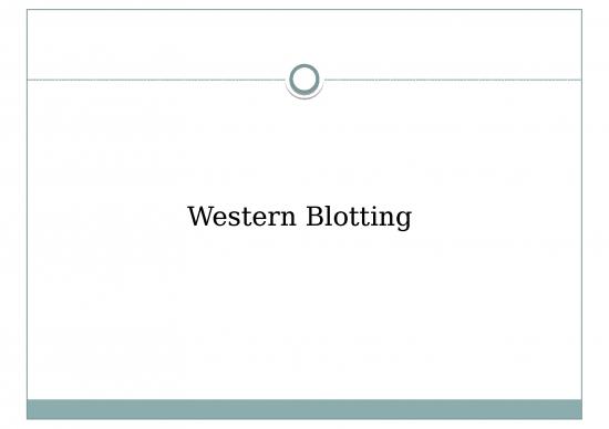 picture Blotting Slideshare 67182 | 51 6th Sem Western Blotting    Debabrata Paria