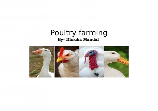 picture_Farming Ppt 69243 | Cattle Farming