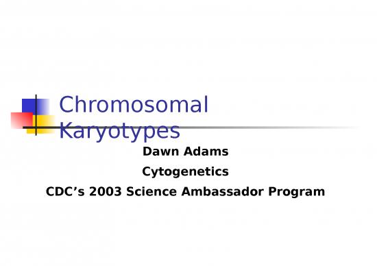 picture1_Structure Ppt 68147 | Chromosomal Karyotypes