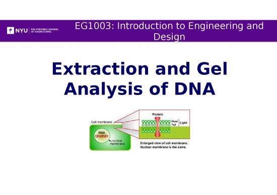 picture_Solvent Extraction Slideshare 66909 | Dnaextract