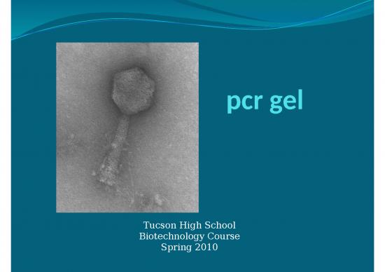 picture Dna Sequencing Slideshare 67045 | Gel 19j2xdj