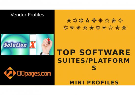 picture Digital Marketing Templates Ppt 67664 | Marketing Transformation System Selection Vendor Mini Profiles Vfinal