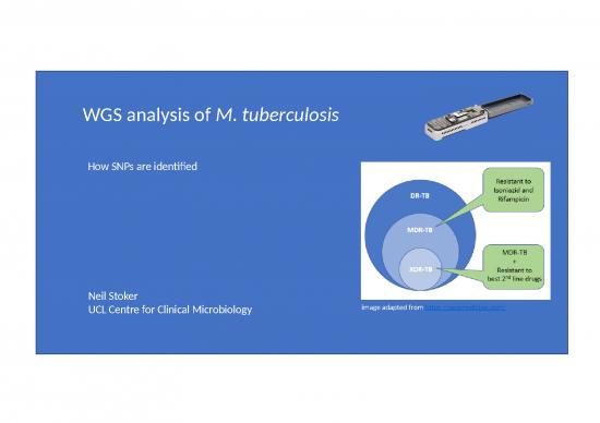 picture1_Market Ppt 66915 | Minion Tb Feb2020 Wgs Neil Stoker