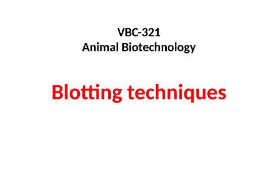picture_Southern Blotting Slideshare 68119 | Vbc 321 Blotting Techniques