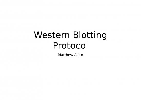 picture_Blotting Slideshare 67024 | Western Blotting Protocol