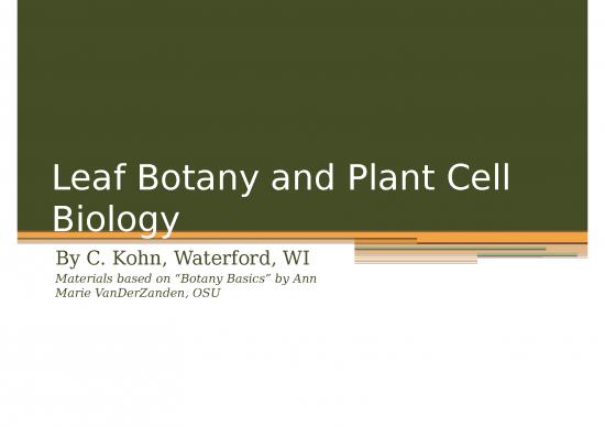 picture Photosynthesis Ppt 71536 | 10aleafbotanyandplantcellbiology