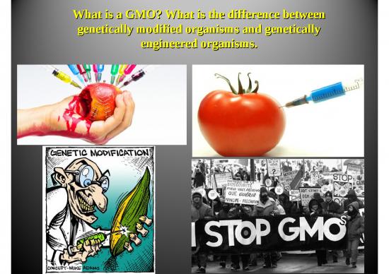picture_Material Ppt 71469 | 1 What Is A Gmo