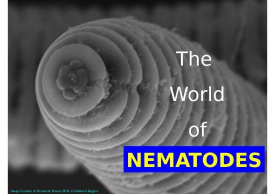 picture_Ppt Stock 71439 | 200710blisspowerpointforonline