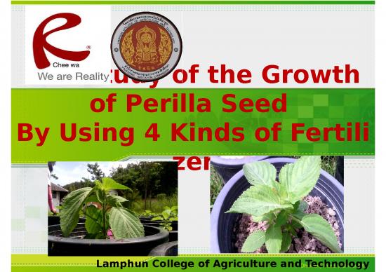 picture1_Technology Ppt 70260 | 28 (th) Study Of Perilla Seed Lamphun College Of Agriculture