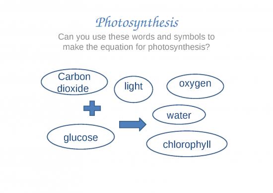 picture1_Photosynthesis Ppt 71546 | 4812 Photosynthesis Limiting Factors