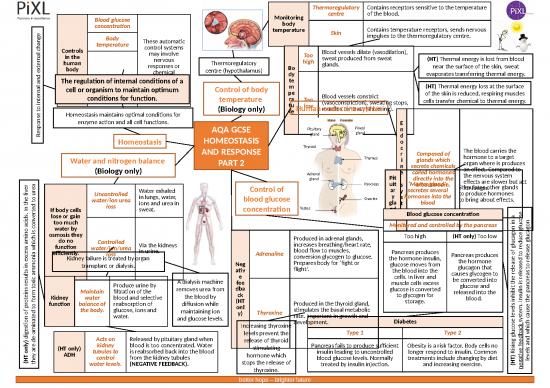 Ppt Chemical Aqa Biology Homeostasis And Response Knowledge Mat Part Gcse