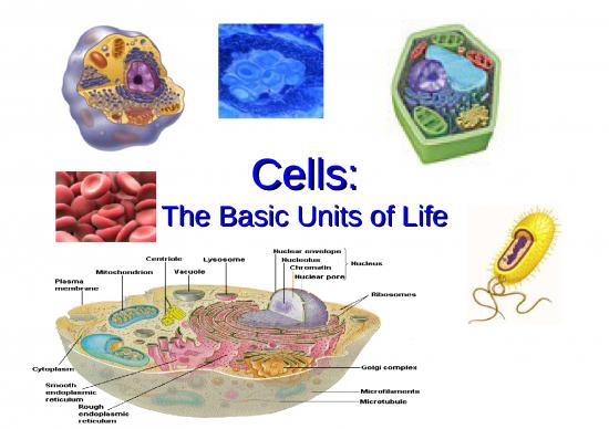 picture Cell Membrane Structure Ppt 71510 | Cell Parts 09 0
