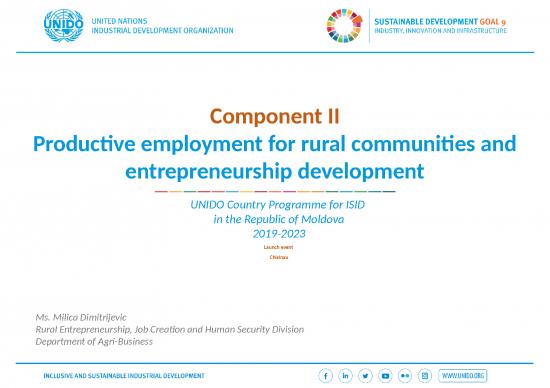 picture Technology Ppt 70016 | Component Ii Employment Unido Dimitrijevic