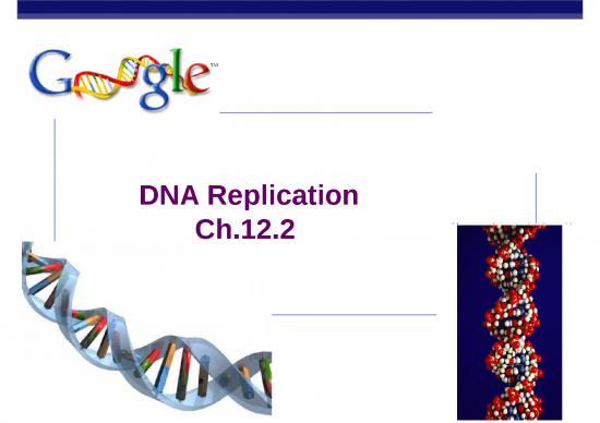 picture_Biology Ppt 71507 | Dna Replication 2014 Ppt