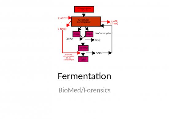 picture1_Ppt Chemical 71425 | Fermentation 1