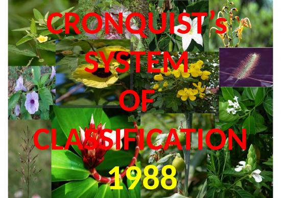 picture_Ppt Chemical 71440 | Kousik Ghoshcronquists Classification2020 04 05cronquists Classification