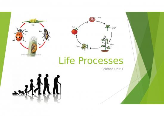 picture Photosynthesis Ppt 71489 | Life Processes Unit 1