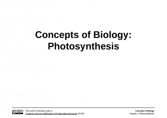 picture_Photosynthesis Ppt 71416 | Openstax Biologynonmajors Ch05 Final2