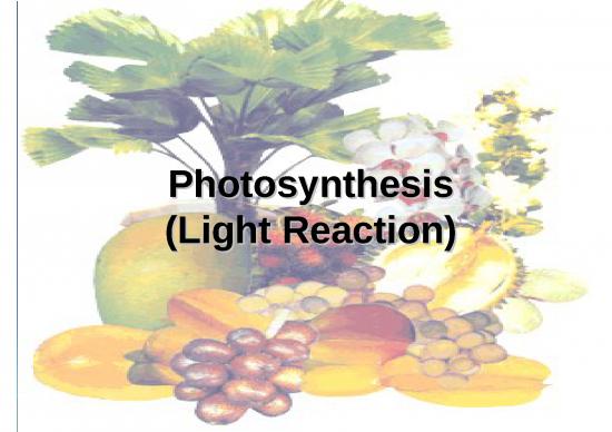 picture_Ppt Chemical 71484 | Pertemuan 13 (photorespiration)