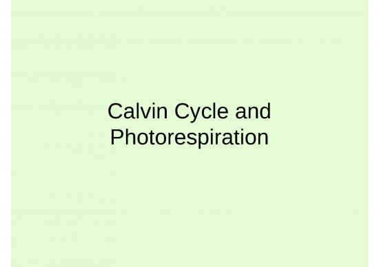 picture_Cycle Ppt 71485 | Pertemuan 8 (light Reaction)