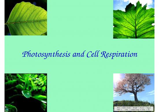 picture_Ppt Chemical 71502 | Photo Item Download 2022-08-31 00-37-02