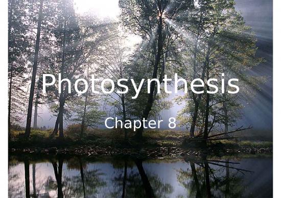 picture1_Ppt Chemical 71490 | Photosynthesis Ppt
