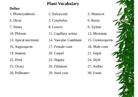 picture_Photosynthesis Ppt 71458 | Plants