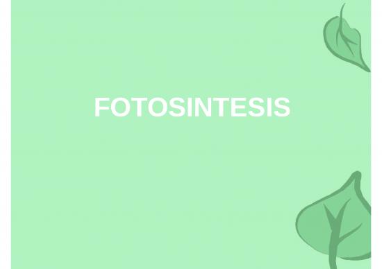picture Photosynthesis Ppt 71381 | Ppt Pothosintesis