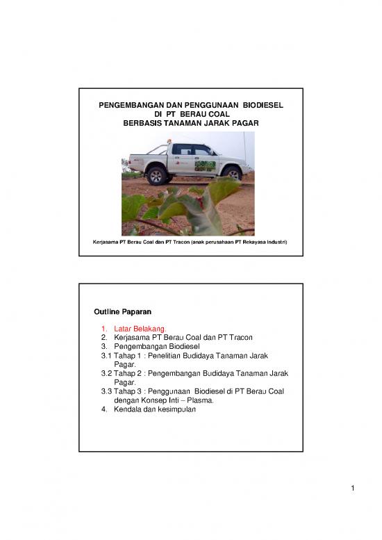 picture_Presentasi Usaha 6640 | Program Reboisasi Jarak Pagar Di Berau Coal - Pertanian