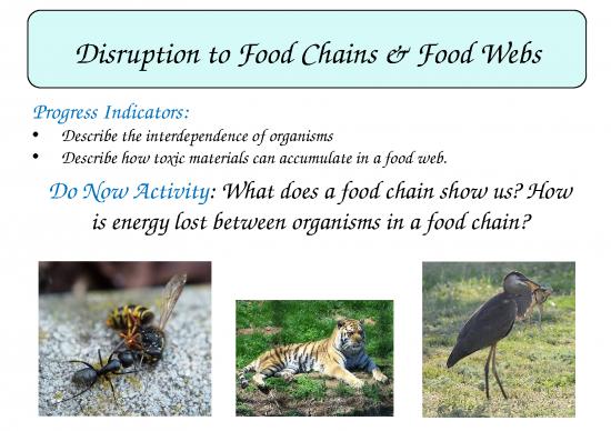 picture Photosynthesis Ppt 71551 | 79f21eddce7783cc0303f920b3c773ea