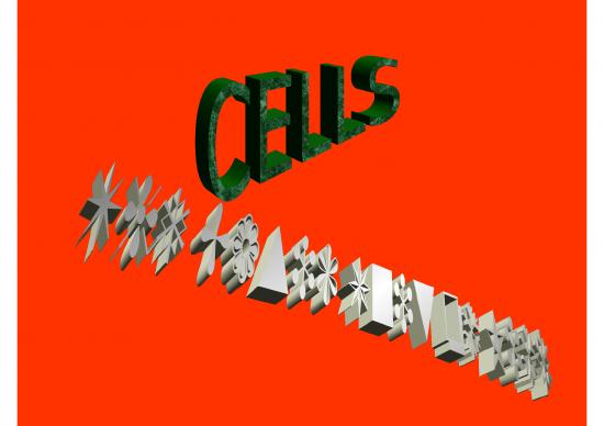 picture Nutrition Ppt 71549 | Cells The Basic Unit Of Life