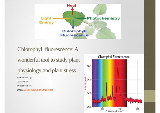 picture Photosynthesis Ppt 72134 | Chlorophyll Fluorescence