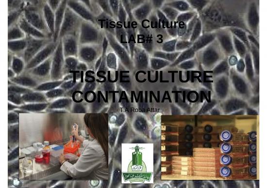 picture Chemical Potential Ppt 68275 | Contamination