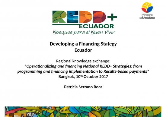 picture Financial Presentation Template 72042 | Session 6 P10 Financing Stategy Ecuador