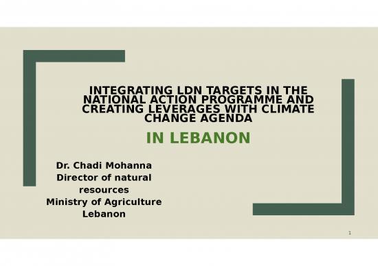 picture_Strategy Slides 76739 | Ldn Nap   Leb   Cop