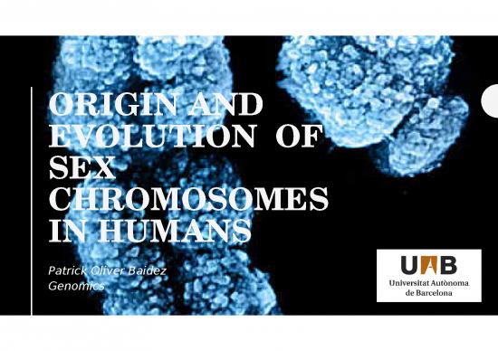 picture Molecular Evolution Slideshare 76520 | Origin And Evolution  Of Sex Chromosomes In Humans2018 12 11p20 59 57