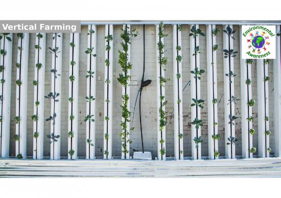 picture_Vertical Farming Ppt 76474 | Vertical Farming