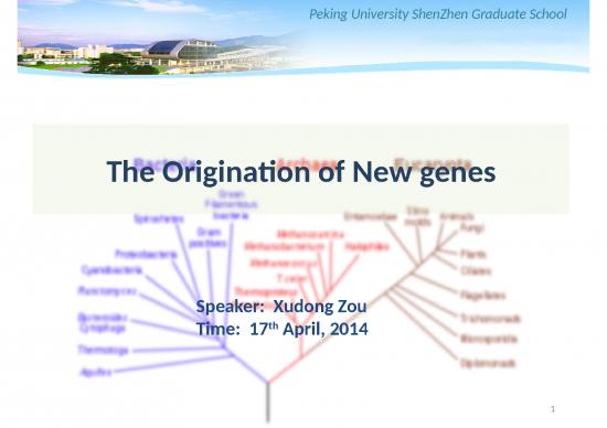 picture1_Molecular Evolution Ppt 78771 | 20140418 Zou Xu Dong The Origination Of New Genes
