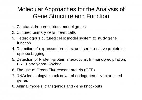 picture Animal Cell Culture Slideshare 77627 | 458 Greenwood 01