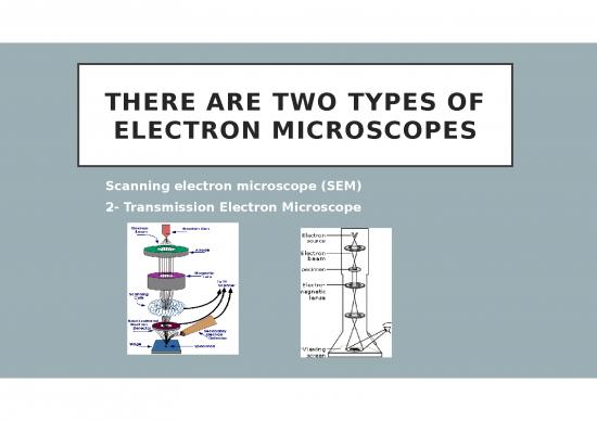 picture1_Transmission Electron Microscope Slideshare 77452 | 6 2018 12 15!05 34 25 Pm