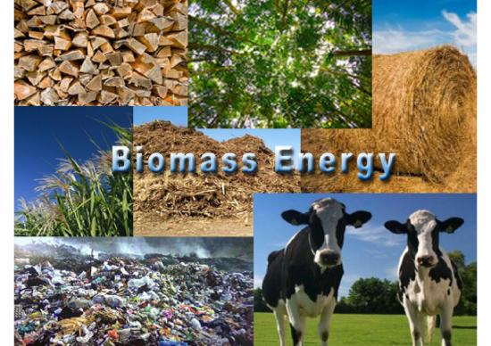 picture Renewable Energy Ppt 78691 | Biomass Energy(1)