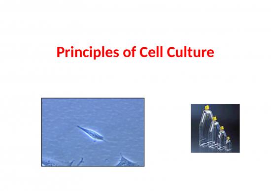 picture1_Plant Tissue Culture Slideshare 77203 | Cell Cutlure 0